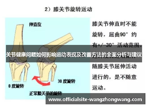 关节健康问题如何影响运动表现及改善方法的全面分析与建议