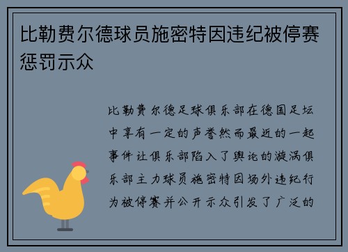 比勒费尔德球员施密特因违纪被停赛惩罚示众